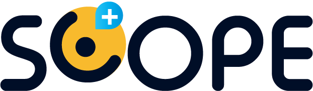 Budget Training Online